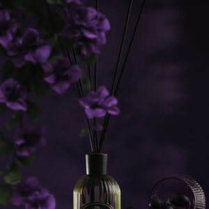 Black Grapes - svarta druvor